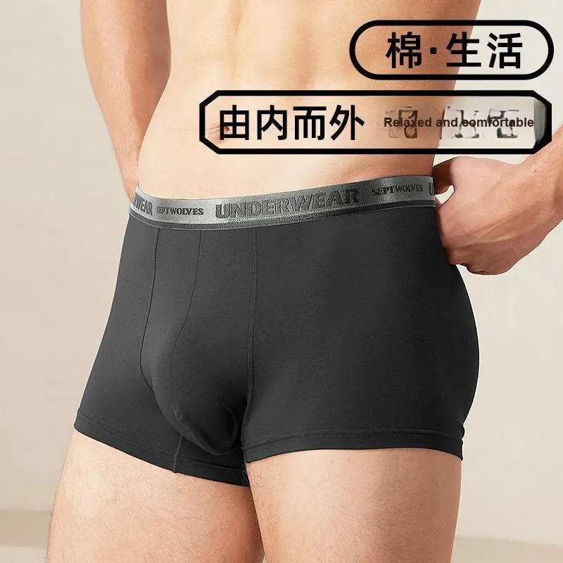 SEPTWOLVES Underwear Gift Box Men's 4 Pack+Shopping Bag-6