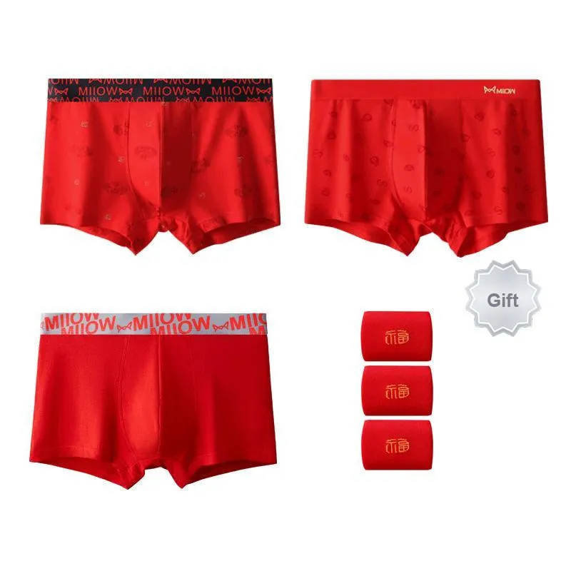 MIIOW Men Underpants-2