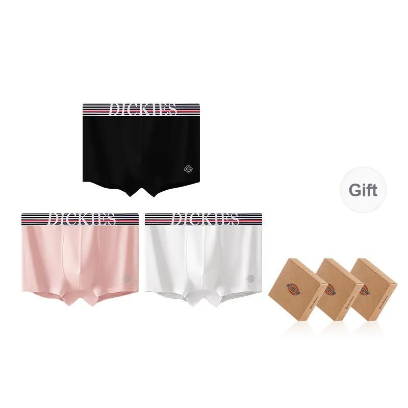 Dickies Underpants Men's Combo Set-72
