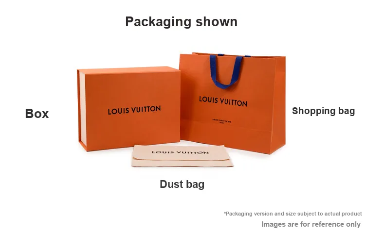 LOUIS VUITTON Dauphine Capitale Monogram And Monogram Reverse-7