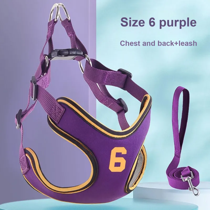 Kimpets Leashes-1