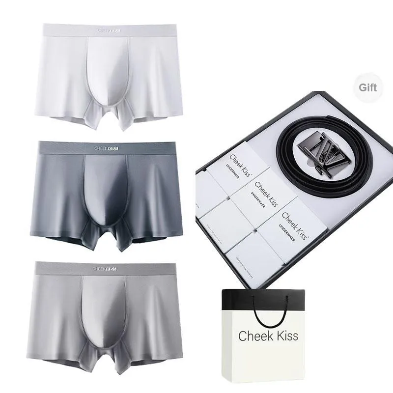 Cheekkiss Underwear Gift Box Men's 3 Pack-22