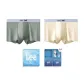 Star Gray+Tea White (Box 2 Pack)