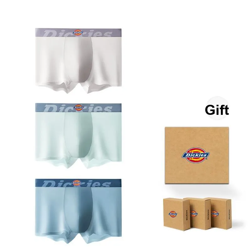 Dickies Underpants Men's Box 3 Pack-7
