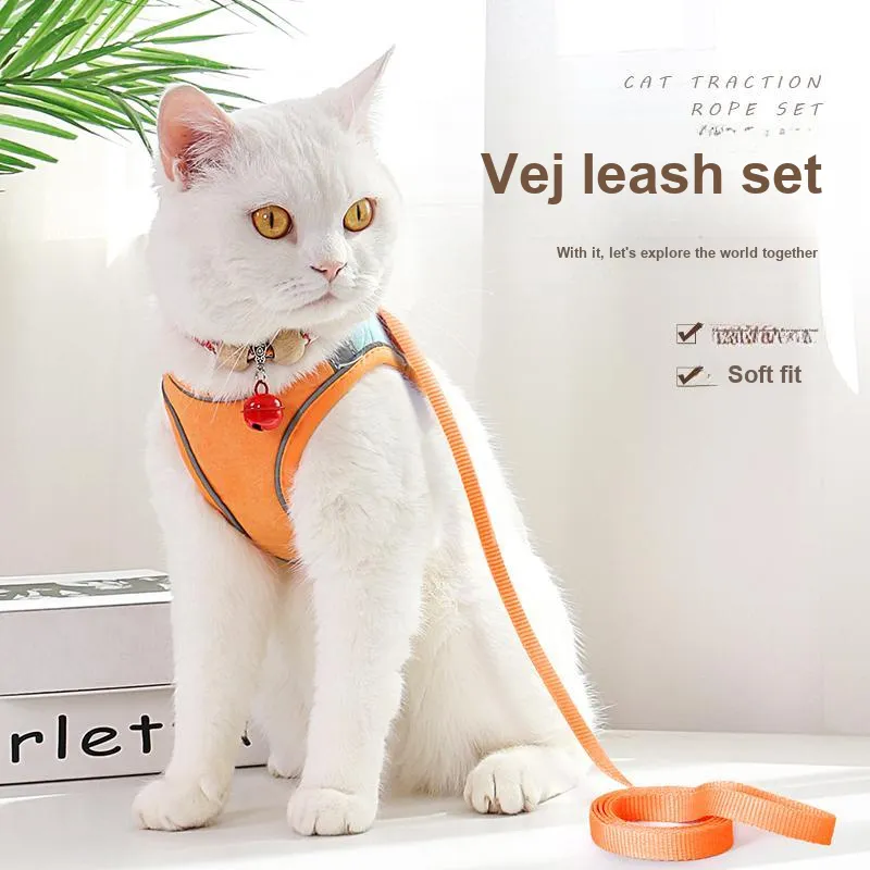 Pampering Leashes-11