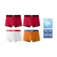 Red+Red+Orange+White (Box 4 Pack)