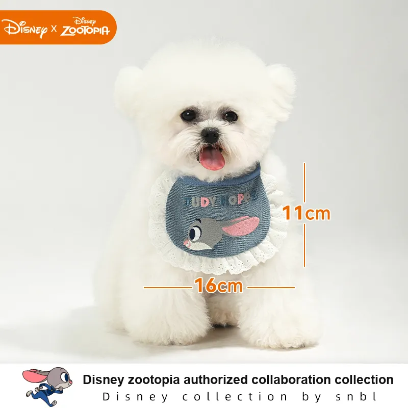 Disney Pet Clothing-1