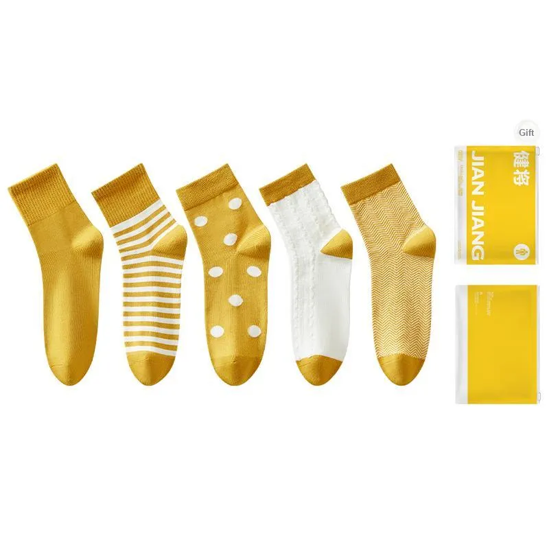 Master Mid Calf Socks Women
s Gift Box Combination