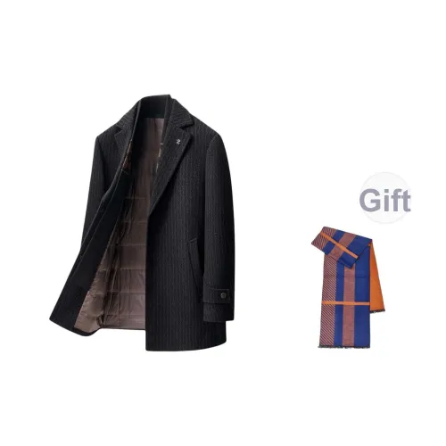 PIERRE CARDIN Мужское пальто