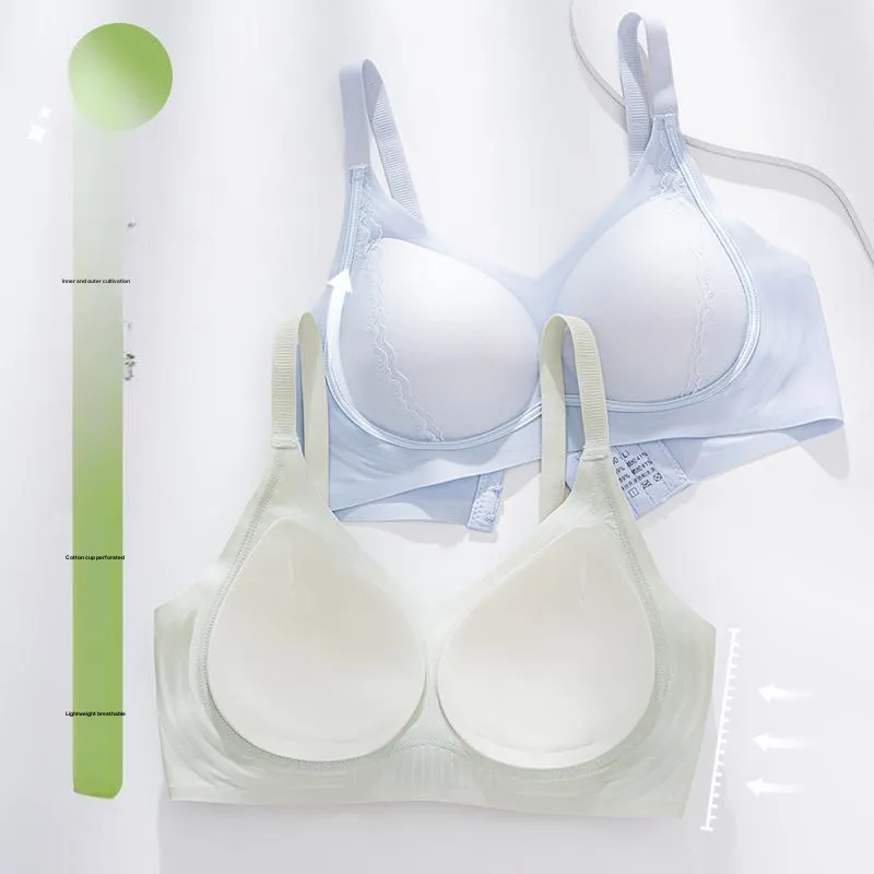 David Women's Bras-10