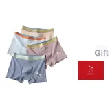 (4 Pack) Cloud Gray, Light Apricot, Pink Bean Paste, Medium Gray