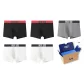 Box 5 Pack (Black+Black+White+White+Gray Green)
