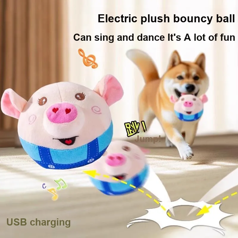 Hippie dogs Pet Toys-1