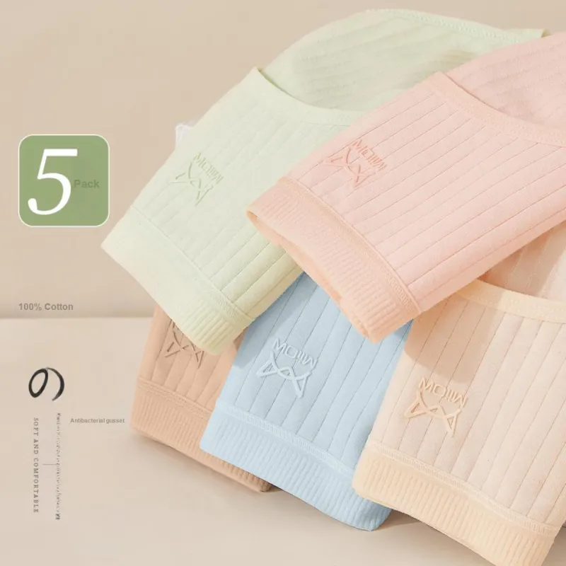 MIIOW Underpants Women's 5 Pack Mixed Color-3