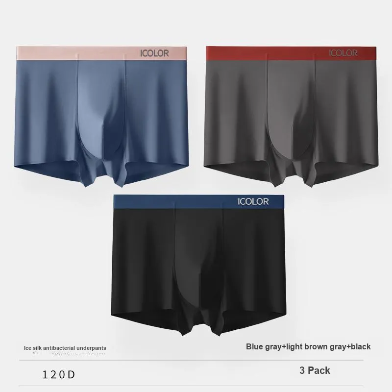 Icolor Men Underpants-17