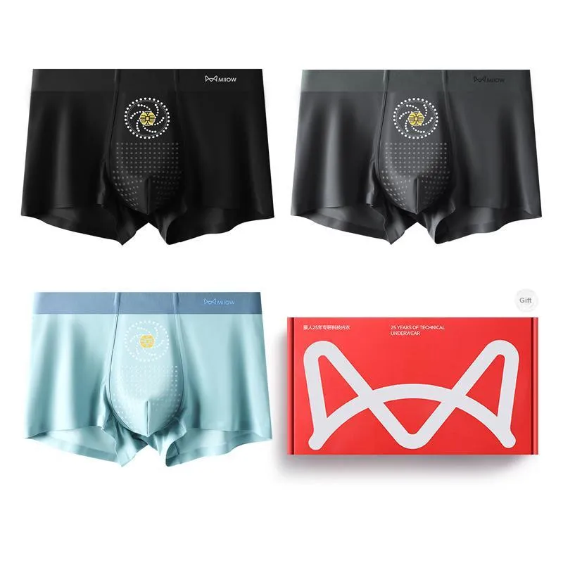 MIIOW Underwear Gift Box Men's Box 3 Pack-2