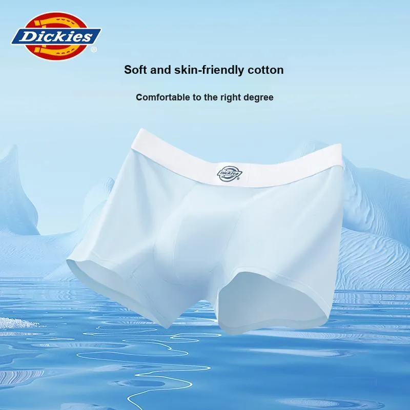 Dickies Underpants Men's Box 3 Pack-2