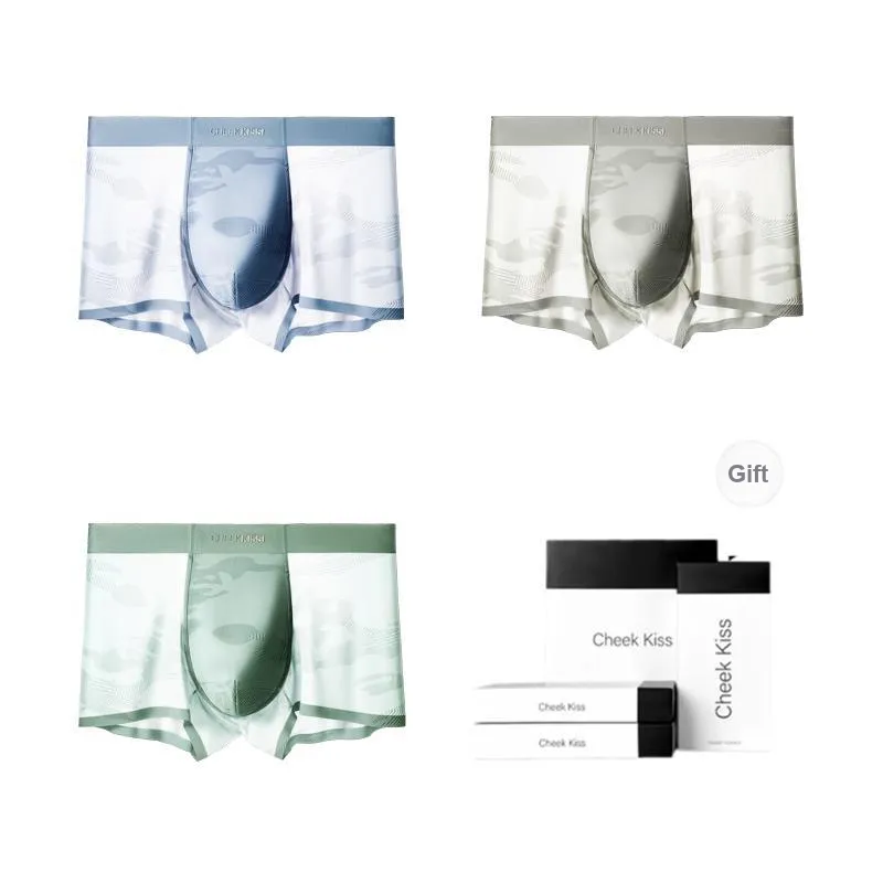 Cheekkiss Underpants Men's Box 4 Pack-17