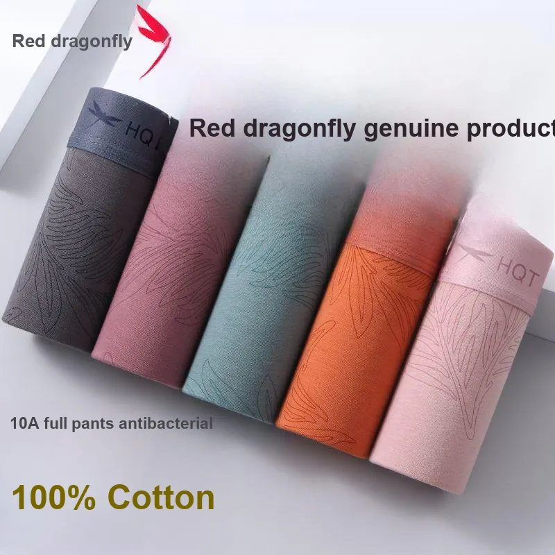 RED DRAGONFLY Cotton Panties Men's 3 Pack Box-3