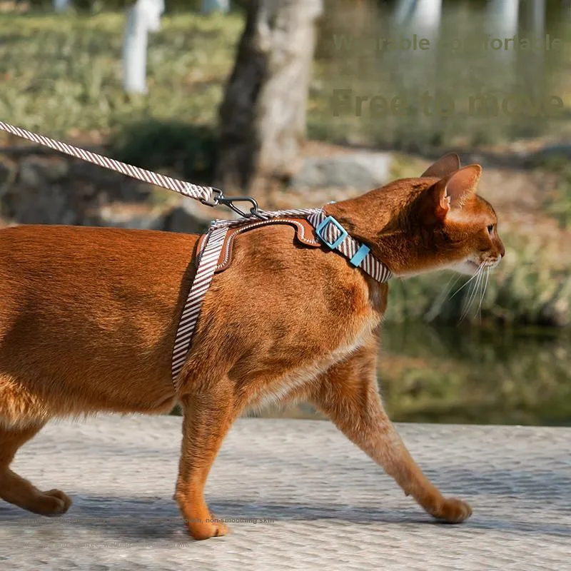 Zeze Leashes-2