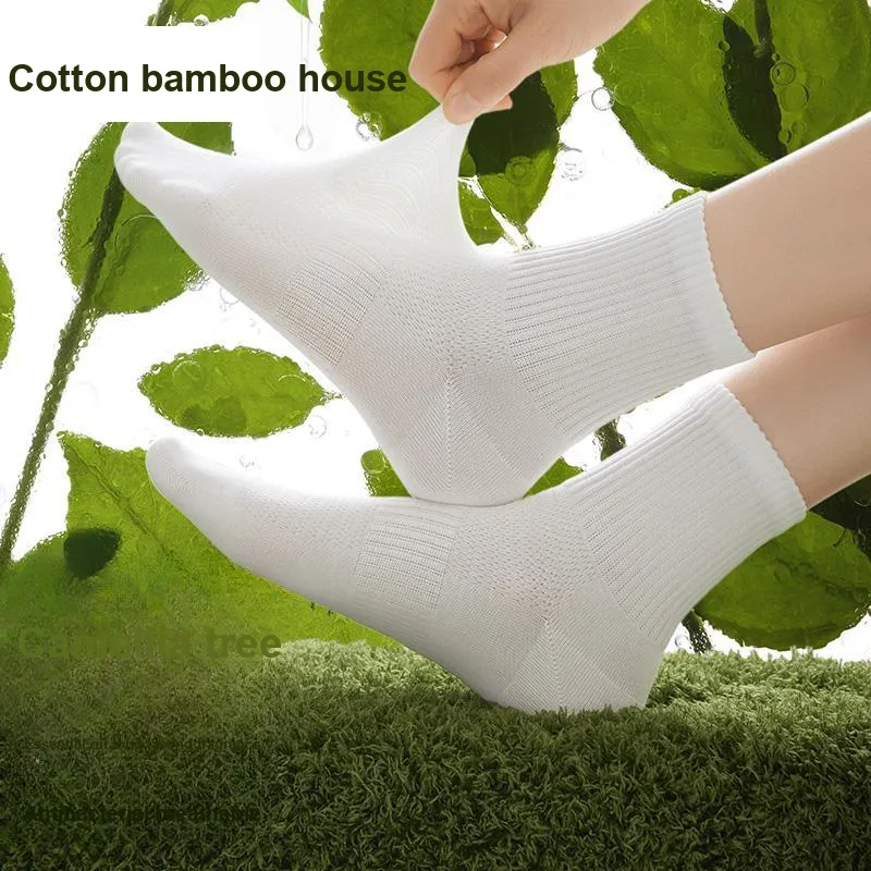 B&C.Room Knee High Socks Women's 5 Pack-2