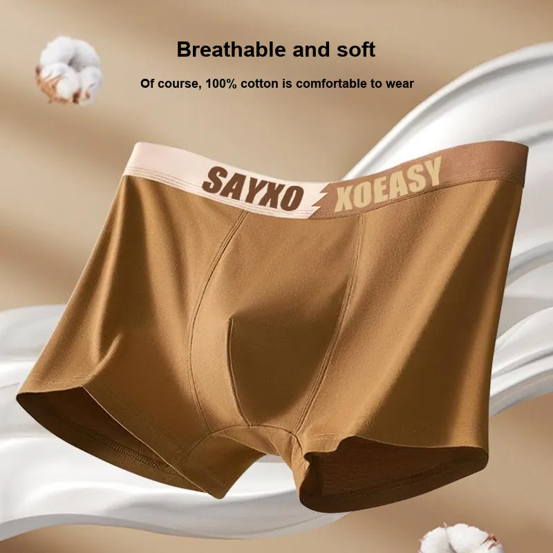 The Temptation Of The Muse Underpants Men's 4 Pack-6
