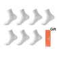 Box 7 Pack (White)
