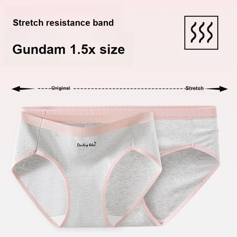 2323 Underpants Women's Combo Set-3