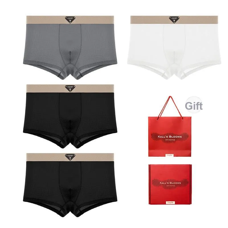 Maiden House Underwear Gift Box Men's 4 Pack-6