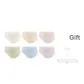 6A Champagne+Classic Apricot+Oil Paintings Pink+Misty Green+Sky Blue+Soft Purple