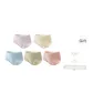 5C Champagne Skin+Sky Blue+Misty Green+Oil Paintings Pink+Soft Purple