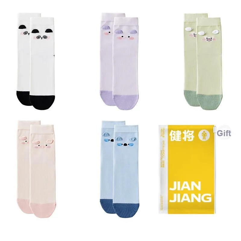 Master Mid Calf Socks Women's Combo Set-2