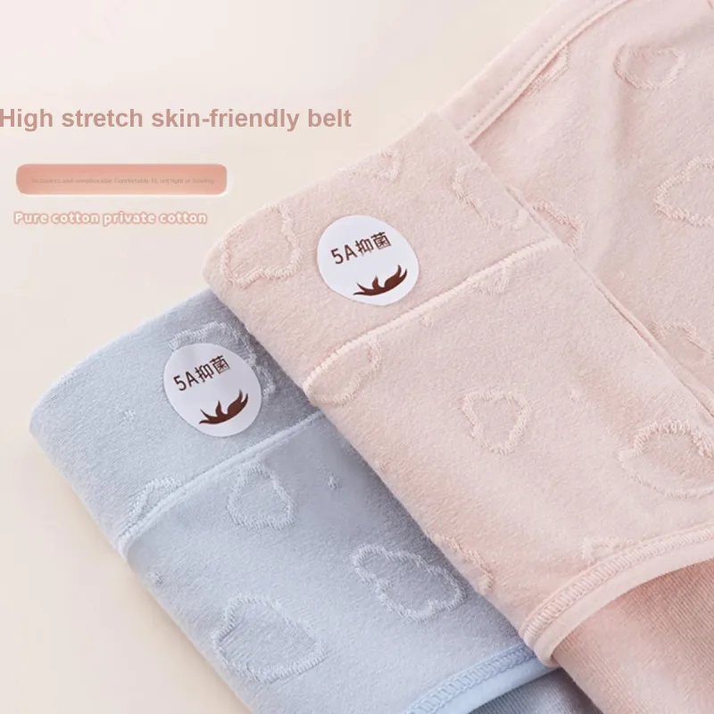 Cotton Shopping Underpants Women's 3 Pack-5