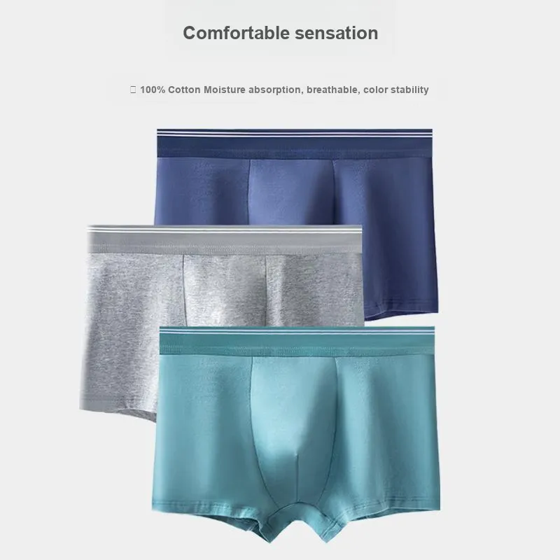 Lan Miao Underpants Men's 2 Pack-22
