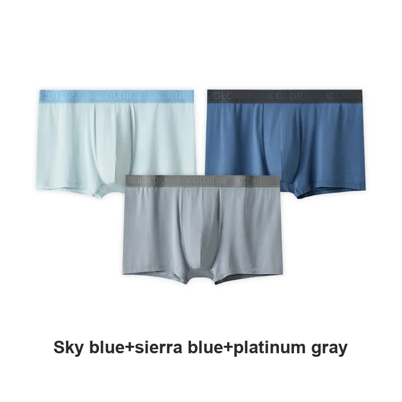 Icolor Men Underpants-29