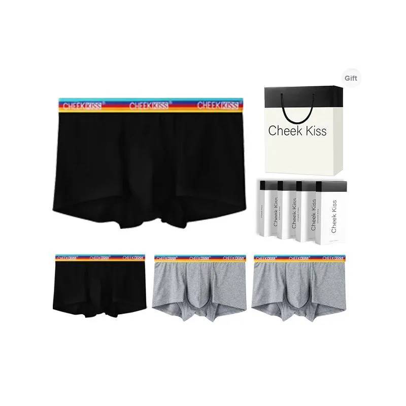 Cheekkiss Underpants Men's 4 Pack-8
