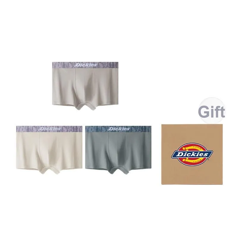 Dickies Underpants Men's Box 3 Pack-40