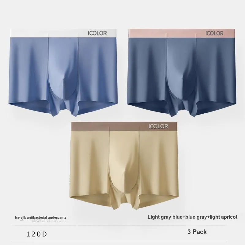 Icolor Men Underpants-5