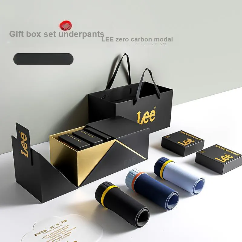 Lee Underpants Men's Box 5 Pack-3