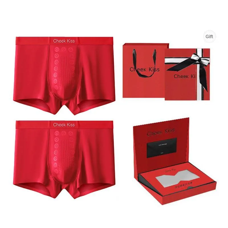 Cheekkiss Underpants Men's Box 3 Pack-12