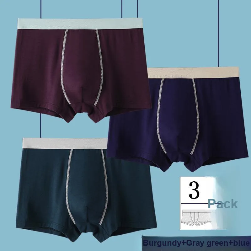 Chun Xi Men Underpants-7