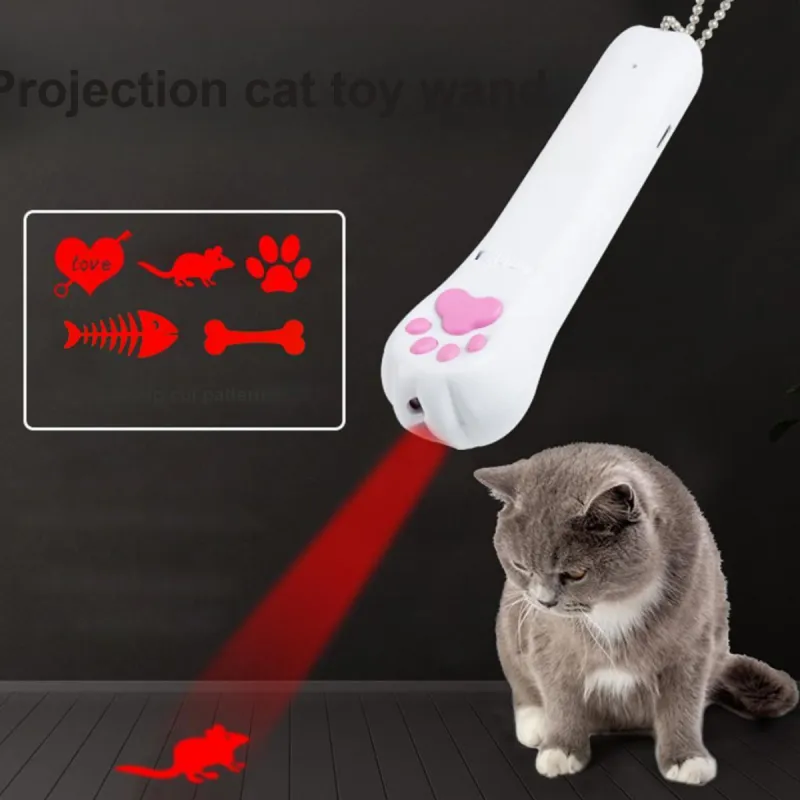 Bebe fun Pet Toys-2