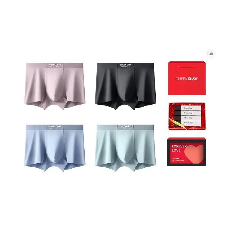 Cheekkiss Underwear Gift Box Men's Box 4 Pack-12