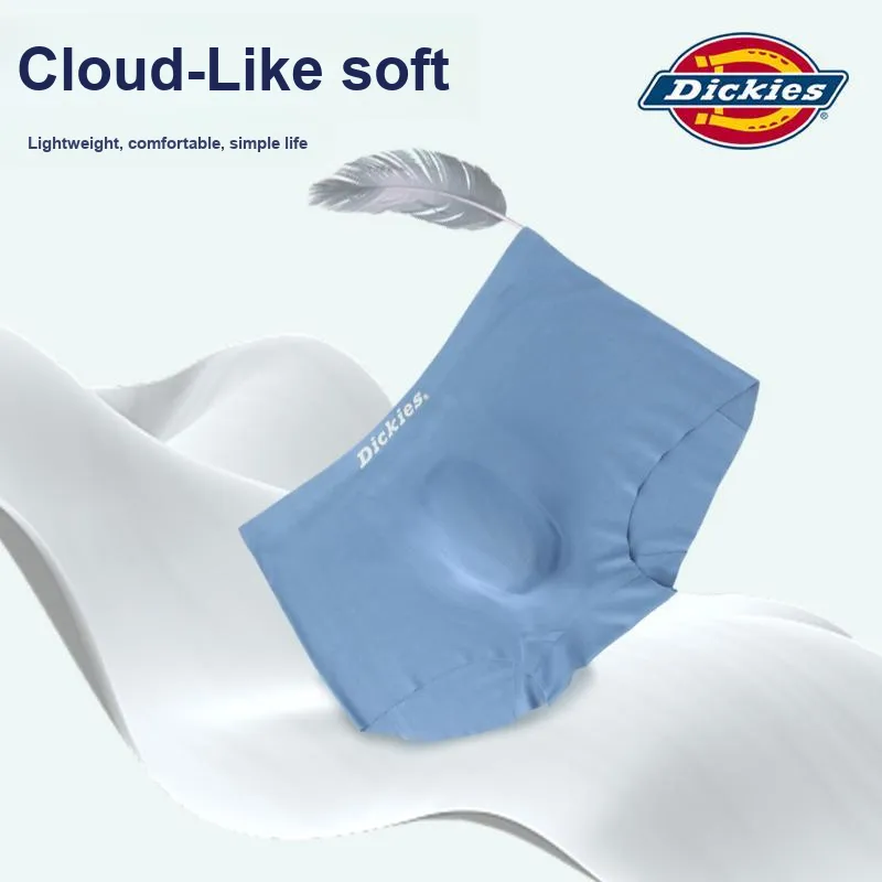 Dickies Underpants Men's Box 3 Pack-4