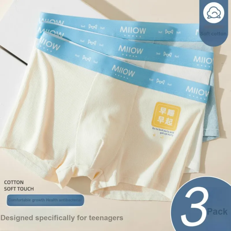 MIIOW Underpants Anti Pinching, Minimalist Style Fashion Men's 3 Pack-1