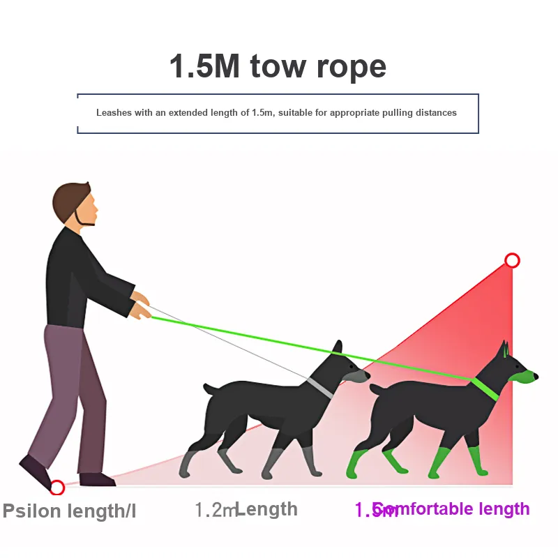 Pampering Leashes-22