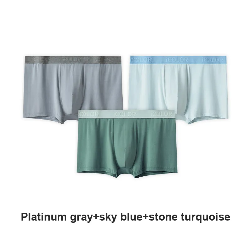 Icolor Men Underpants-11