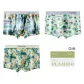 3 Pack[Oil Painting+Lucky Clover+Summer Floral]