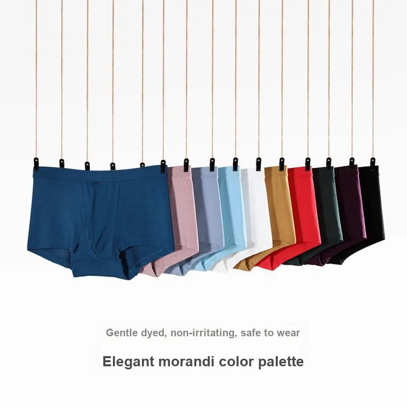 STW．SOTOWELL Men Underpants-1