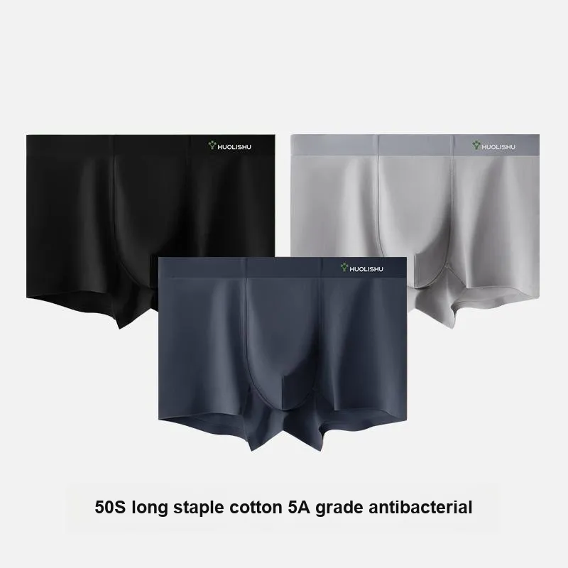 VIM TREE Underpants Men's Combo Set-71